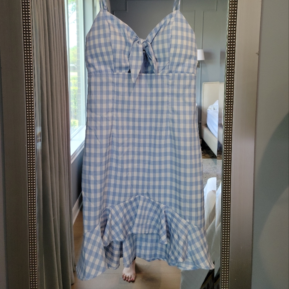 Forever 21 gingham dress